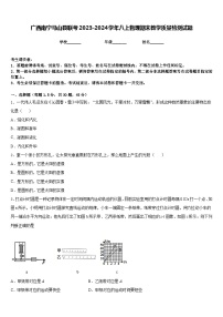 广西南宁马山县联考2023-2024学年八上物理期末教学质量检测试题含答案