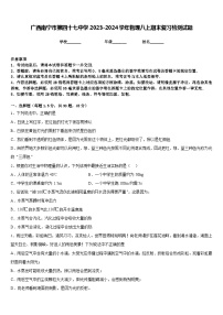 广西南宁市第四十七中学2023-2024学年物理八上期末复习检测试题含答案