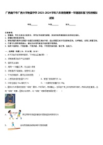 广西南宁市广西大学附属中学2023-2024学年八年级物理第一学期期末复习检测模拟试题含答案