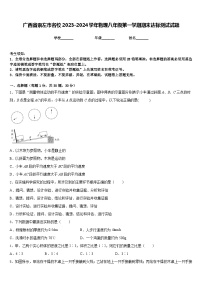 广西省崇左市名校2023-2024学年物理八年级第一学期期末达标测试试题含答案