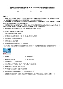 广西壮族自治区河池市南丹县2023-2024学年八上物理期末经典试题含答案