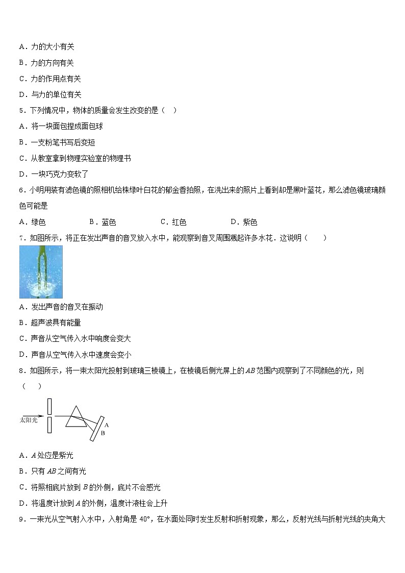 广西南宁市天桃实验学校2023-2024学年物理八上期末达标测试试题含答案02
