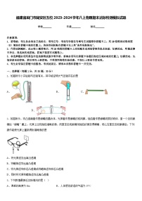 福建省厦门市同安区五校2023-2024学年八上物理期末达标检测模拟试题含答案