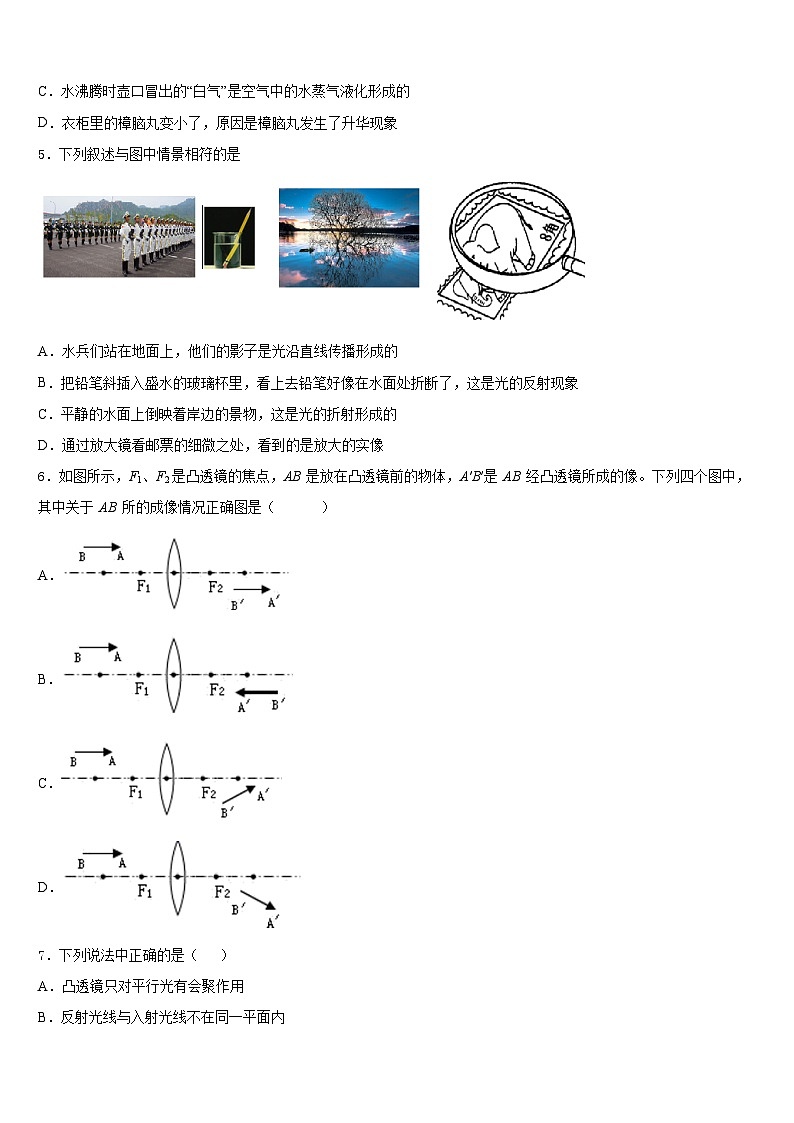 广西贺州昭平县联考2023-2024学年物理八上期末考试试题含答案第2页
