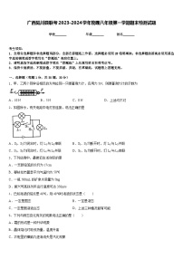 广西陆川县联考2023-2024学年物理八年级第一学期期末检测试题含答案