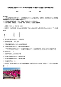 杭州市重点中学2023-2024学年物理八年级第一学期期末统考模拟试题含答案