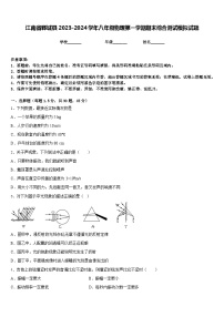 江南省郸城县2023-2024学年八年级物理第一学期期末综合测试模拟试题含答案