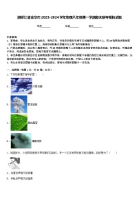 期浙江省金华市2023-2024学年物理八年级第一学期期末联考模拟试题含答案