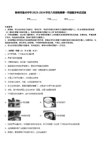 柳州市重点中学2023-2024学年八年级物理第一学期期末考试试题含答案