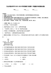 文山市重点中学2023-2024学年物理八年级第一学期期末考试模拟试题含答案