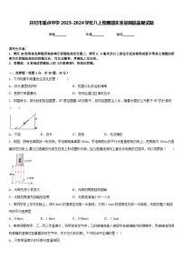 开封市重点中学2023-2024学年八上物理期末质量跟踪监视试题含答案