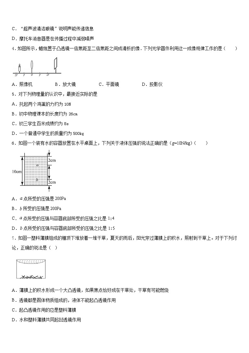 文山市重点中学2023-2024学年物理八上期末统考模拟试题含答案第2页