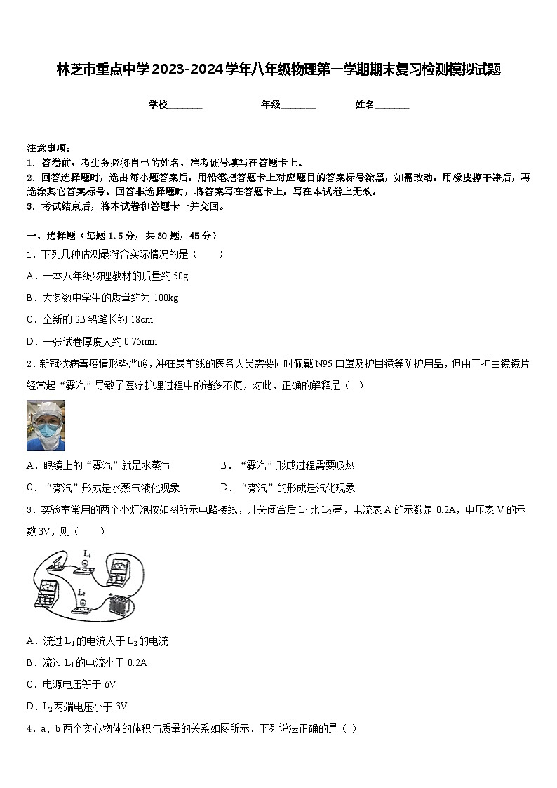 林芝市重点中学2023-2024学年八年级物理第一学期期末复习检测模拟试题含答案第1页