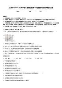 拉萨市2023-2024学年八年级物理第一学期期末综合测试模拟试题含答案