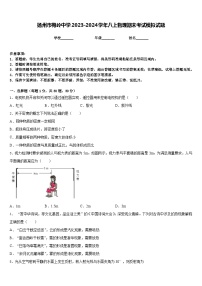 扬州市梅岭中学2023-2024学年八上物理期末考试模拟试题含答案