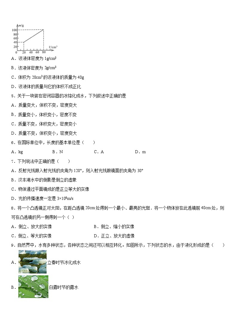 永州市重点中学2023-2024学年八年级物理第一学期期末质量跟踪监视模拟试题含答案02