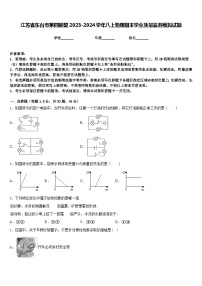 江苏省东台市第四联盟2023-2024学年八上物理期末学业质量监测模拟试题含答案