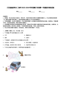 江苏省南京师大二附中2023-2024学年物理八年级第一学期期末预测试题含答案