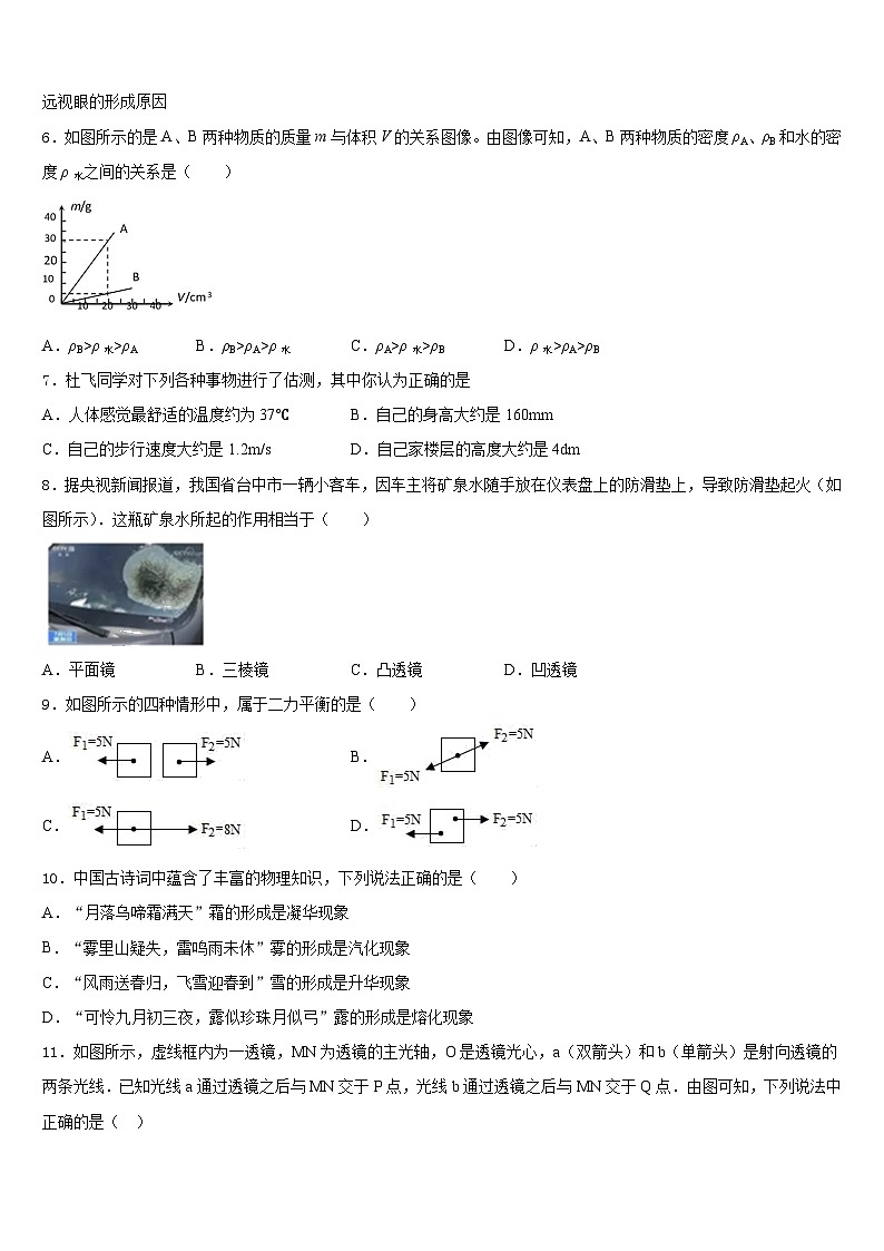 江苏省南京市高淳区2023-2024学年物理八年级第一学期期末预测试题含答案03
