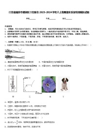 江苏省南京市建邺区三校联合2023-2024学年八上物理期末质量检测模拟试题含答案