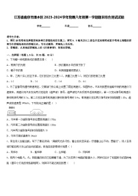 江苏省南京市溧水区2023-2024学年物理八年级第一学期期末综合测试试题含答案