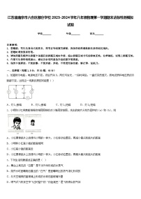 江苏省南京市六合区部分学校2023-2024学年八年级物理第一学期期末达标检测模拟试题含答案