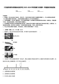 江苏省常州市武进星辰实验学校2023-2024学年物理八年级第一学期期末预测试题含答案