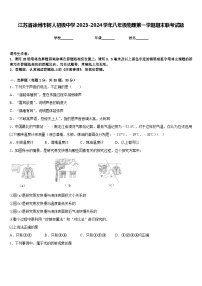 江苏省徐州市树人初级中学2023-2024学年八年级物理第一学期期末联考试题含答案