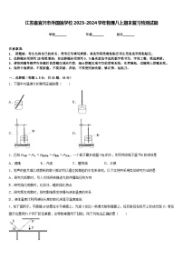 江苏省宜兴市外国语学校2023-2024学年物理八上期末复习检测试题含答案