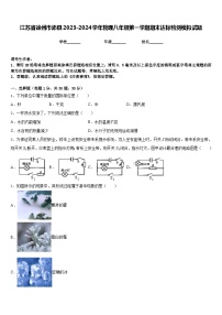 江苏省徐州市沛县2023-2024学年物理八年级第一学期期末达标检测模拟试题含答案