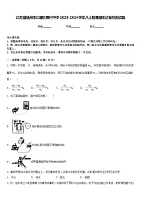 江苏省扬州市江都区郭村中学2023-2024学年八上物理期末达标检测试题含答案