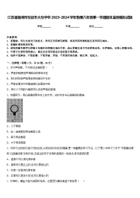 江苏省扬州市仪征市大仪中学2023-2024学年物理八年级第一学期期末监测模拟试题含答案