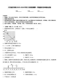 江苏省洪泽县2023-2024学年八年级物理第一学期期末统考模拟试题含答案