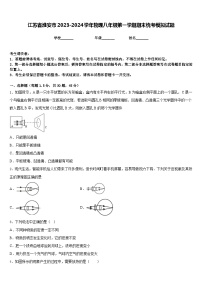 江苏省淮安市2023-2024学年物理八年级第一学期期末统考模拟试题含答案