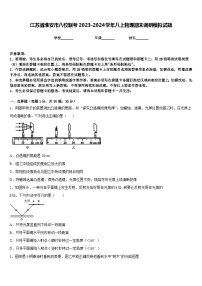 江苏省淮安市八校联考2023-2024学年八上物理期末调研模拟试题含答案