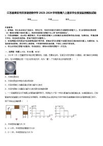 江苏省淮安市洪泽湖初级中学2023-2024学年物理八上期末学业质量监测模拟试题含答案