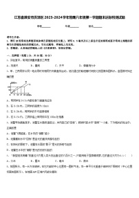 江苏省淮安市洪泽区2023-2024学年物理八年级第一学期期末达标检测试题含答案