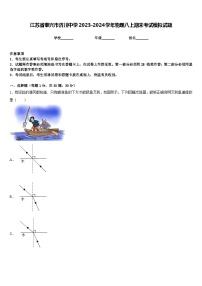 江苏省泰兴市济川中学2023-2024学年物理八上期末考试模拟试题含答案