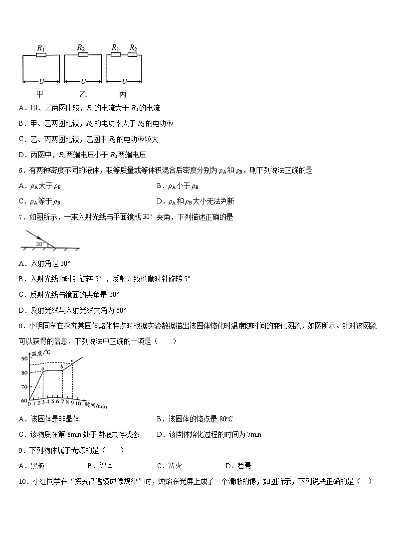 江苏省泰兴市黄桥东区域2023-2024学年物理八年级第一学期期末经典试题含答案第2页