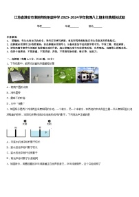 江苏省淮安市淮阴师院附属中学2023-2024学年物理八上期末经典模拟试题含答案