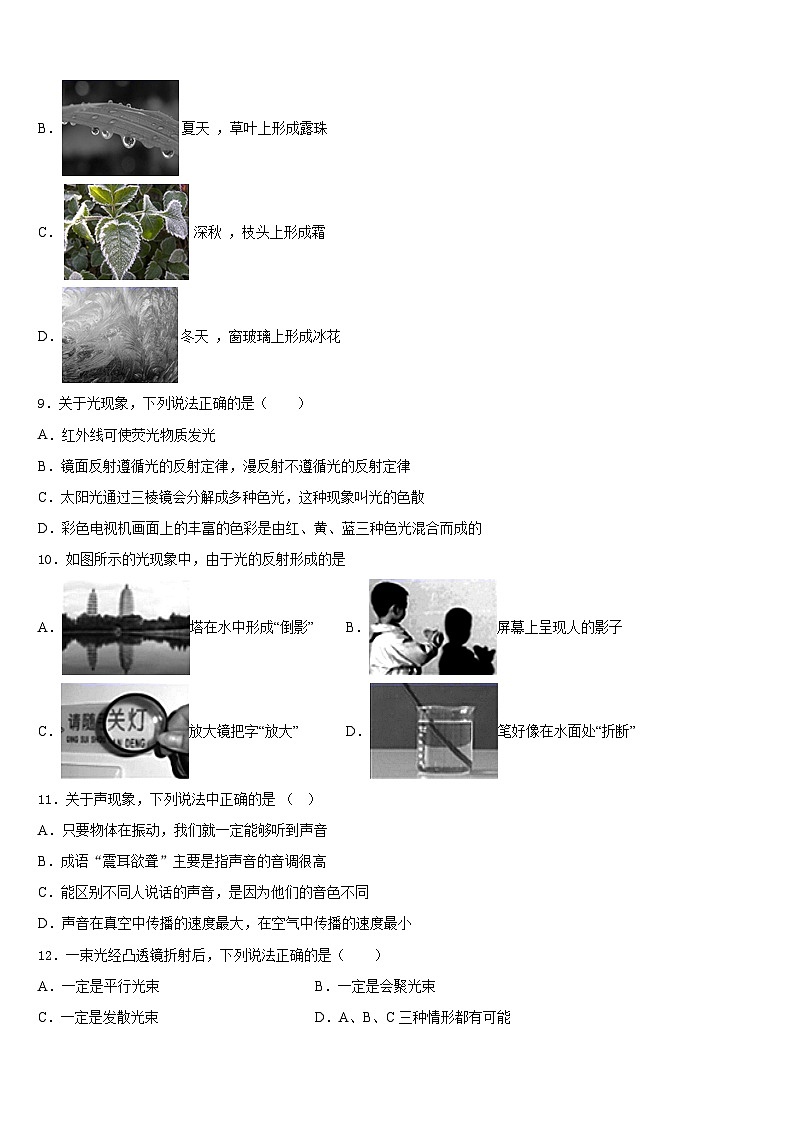江苏省淮安市田家炳中学2023-2024学年物理八年级第一学期期末经典试题含答案第3页