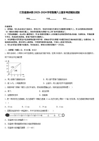 江苏省溧水县2023-2024学年物理八上期末考试模拟试题含答案