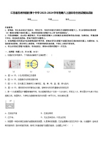 江苏省苏州市园区第十中学2023-2024学年物理八上期末综合测试模拟试题含答案