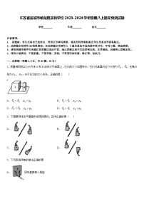 江苏省盐城市毓龙路实验学校2023-2024学年物理八上期末预测试题含答案