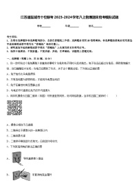 江苏省盐城市十校联考2023-2024学年八上物理期末统考模拟试题含答案