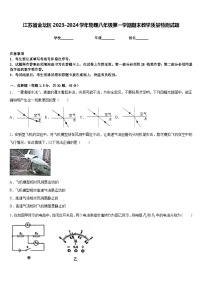 江苏省金坛区2023-2024学年物理八年级第一学期期末教学质量检测试题含答案