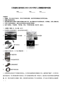 江苏省连云港市名校2023-2024学年八上物理期末联考试题含答案