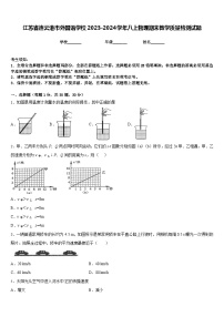 江苏省连云港市外国语学校2023-2024学年八上物理期末教学质量检测试题含答案