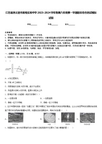 江苏省连云港市新海实验中学2023-2024学年物理八年级第一学期期末综合测试模拟试题含答案