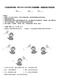 江苏省苏州市松陵一中学2023-2024学年八年级物理第一学期期末复习检测试题含答案